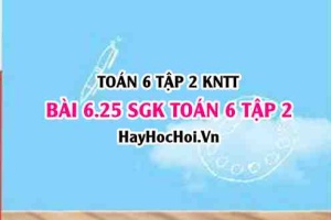 Bài 6.25 SGK Toán 6 tập 2 Kết nối tri thức